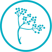 Praxis Piersig Logo